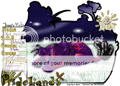 User Image